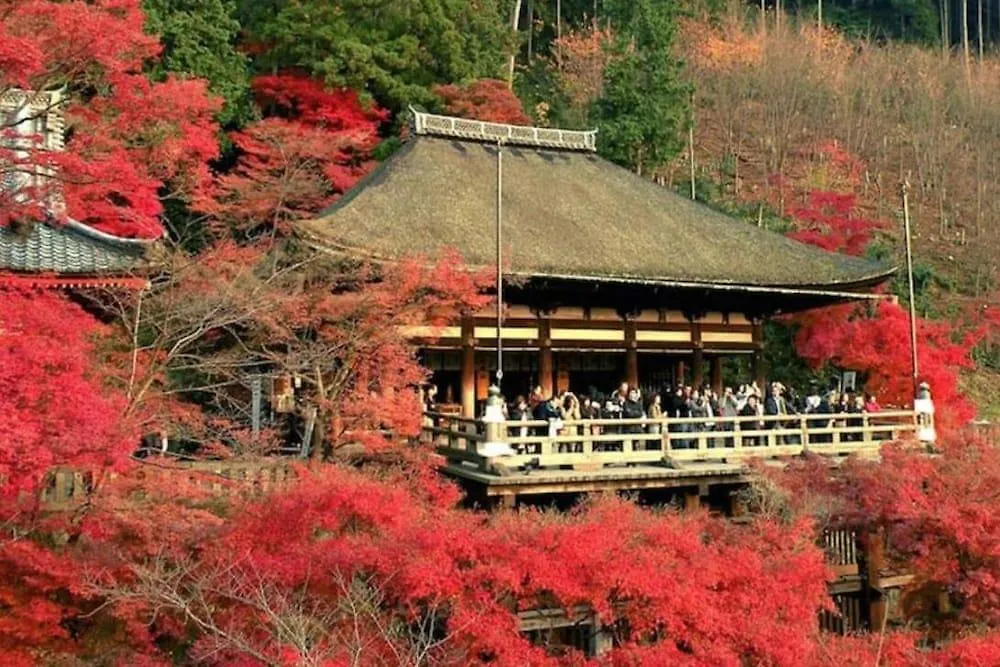 Hanabi Kyoto Nijo-Jo Castle Holiday home