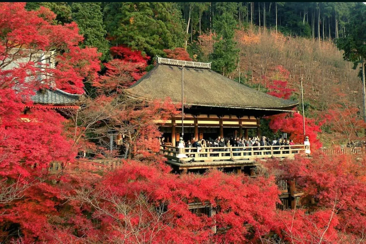 Hanabi Kyoto Nijo-Jo Castle 0*,